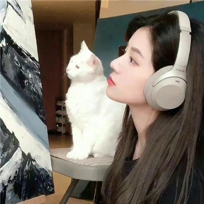 灰姑娘的歌舞情缘