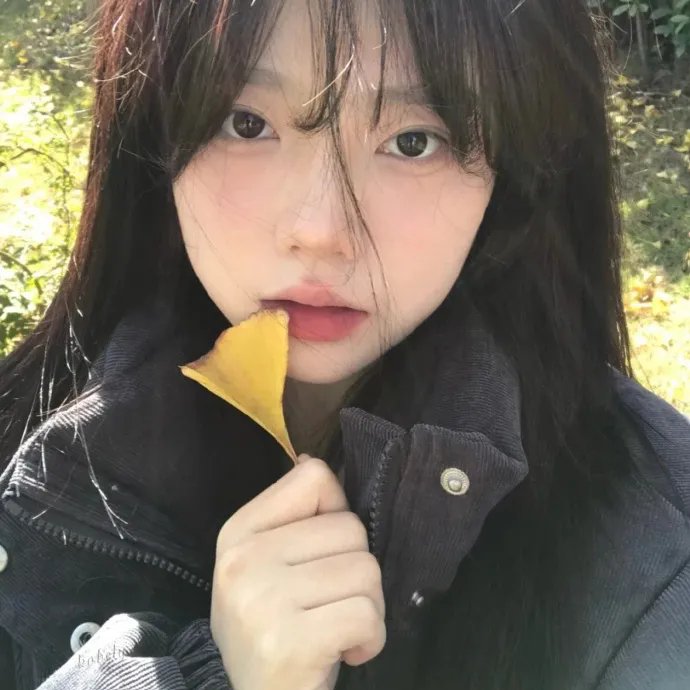 我的街区第二季